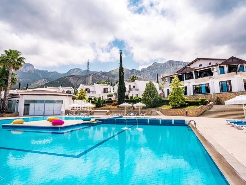 The Olive Tree Hotel