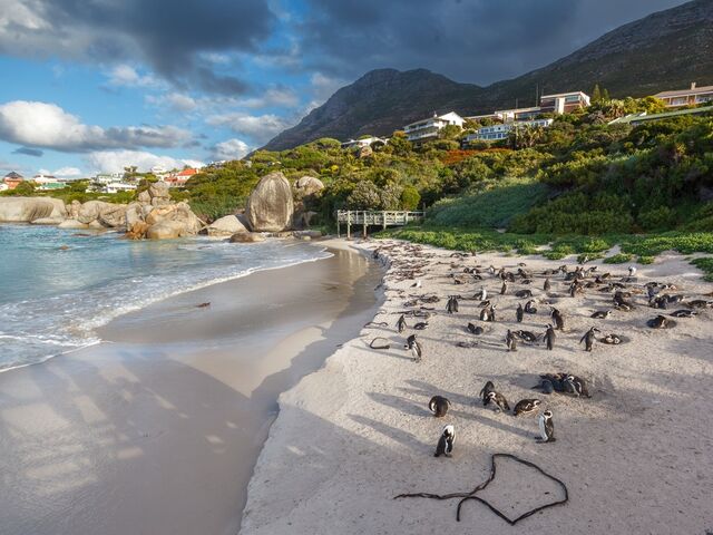 Güney Afrika | 7 Gece | İstanbul Çıkış | THY EUR *