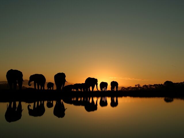 Güney Afrika | 7 Gece | İstanbul Çıkış | THY EUR *