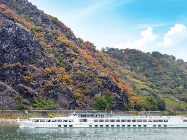 MS Mona Lisa Gemisi ile Ren Nehri'nde Noel Pazarları (Ekstra Turlar Dahil) *