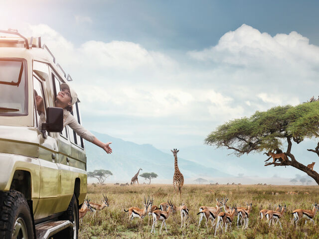 Elegant Güney Afrika’da 4 Ülke & Victoria Şelalesi Türk Hava Yolları ile 8 Gece *