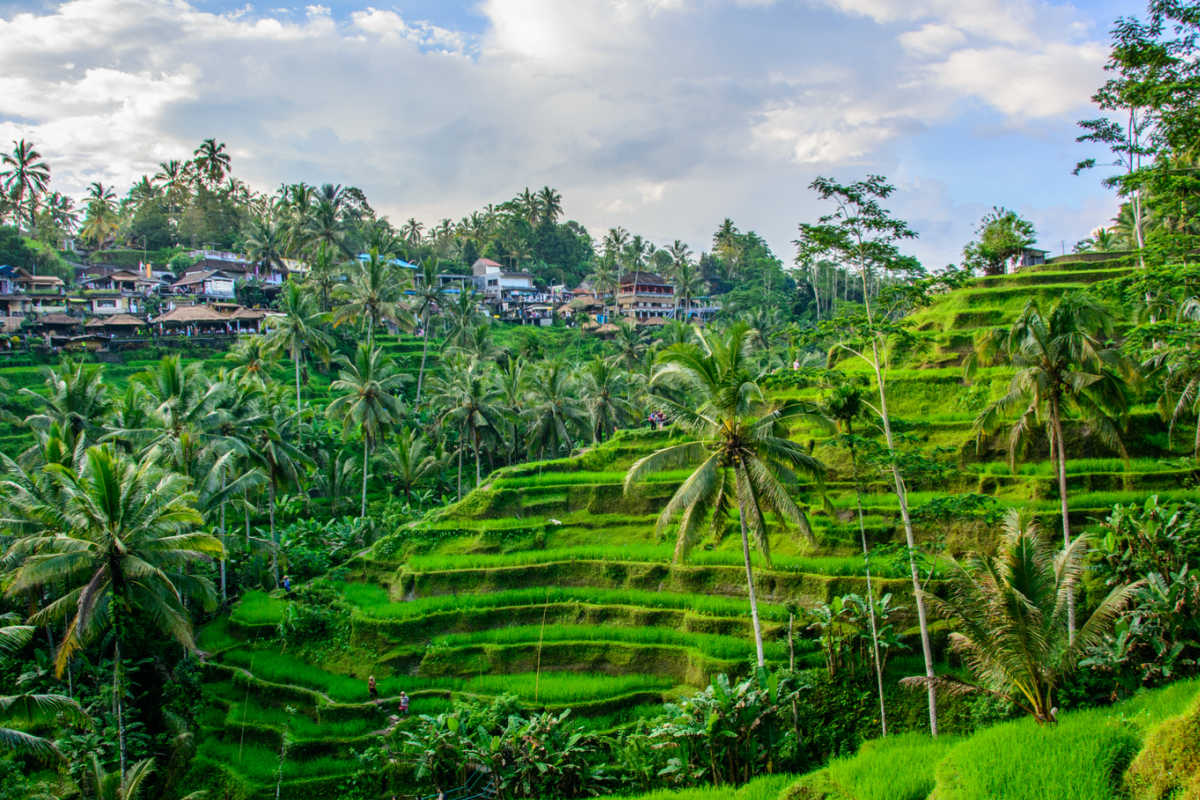 Harikalar Diyarı Bali - Ubud Turu Rotası