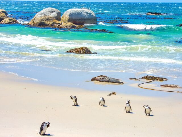 Görkemli Güney Afrika Ve Safari 7 Gece - Thy Ile 18 Ocak (Sömestr Özel) *