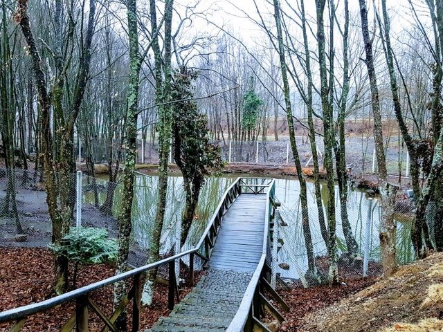 Safranbolu Amasra Abant Turu 1 Gece Otel Konaklamalı İstanbul Çıkışlı 29 Ekim Özel