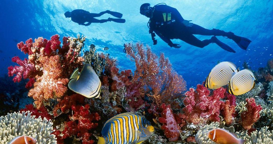 Ankara Çıkışlı Kahire Sharm El Sheikh Turu Ajet ile 5 Gece