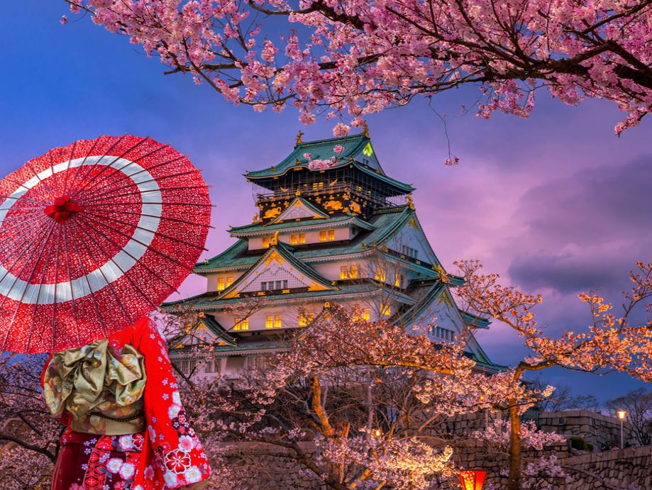 Elegant Japonya Kore Türk Havayolları ile 7 Gece KIX-NRT