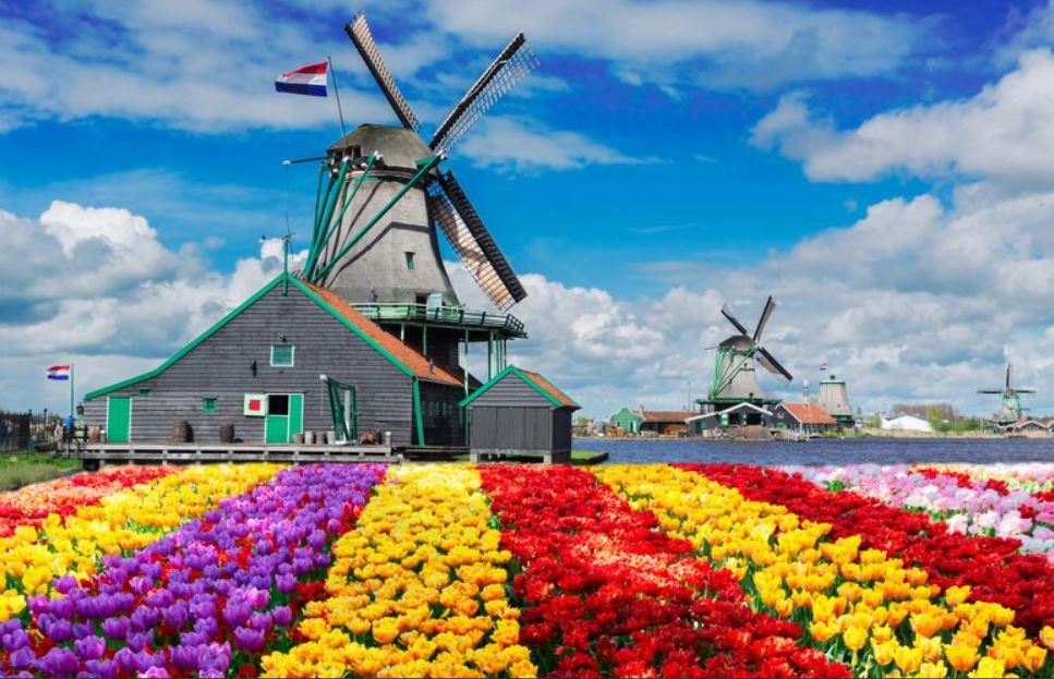 Express Benelux & Paris Turu Yaz 2027 (AMS-ORY) PC