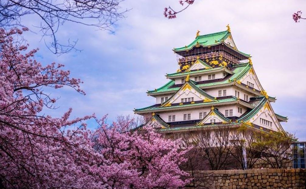 Grand Japonya Disneyland Turu THY