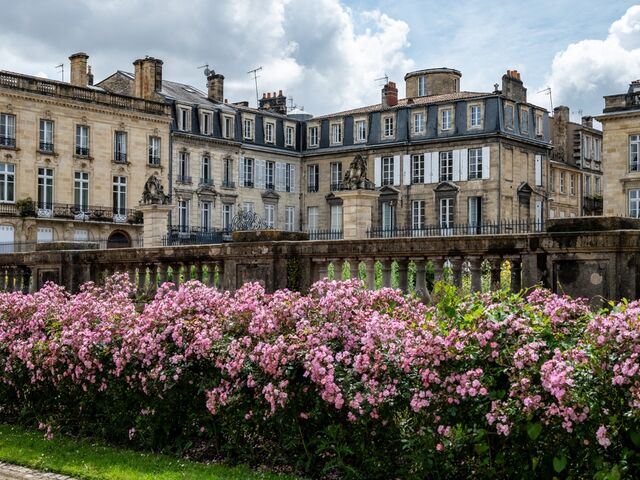 Amsterdam Turu Rotası