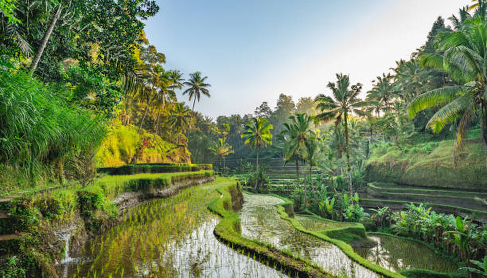 Elegant Bali Türk HY ile Ekstra Turlar Dahil 