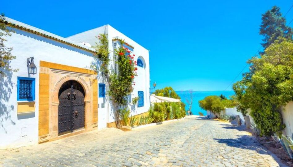 Tunus Türk Hava Yolları ile