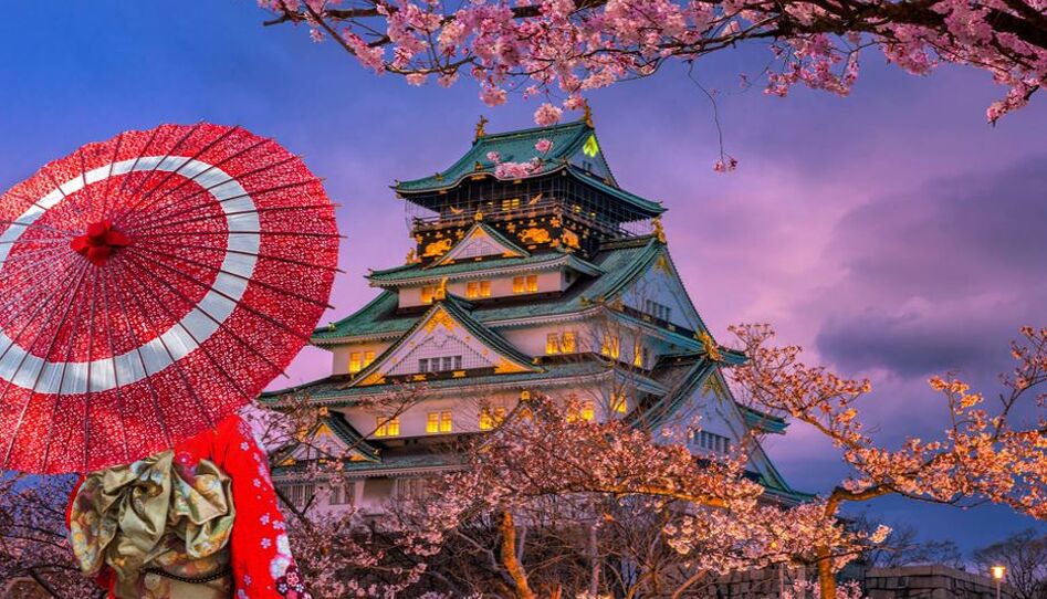 THY ile Grand Japonya Turu NRT-KIX - Vizesiz