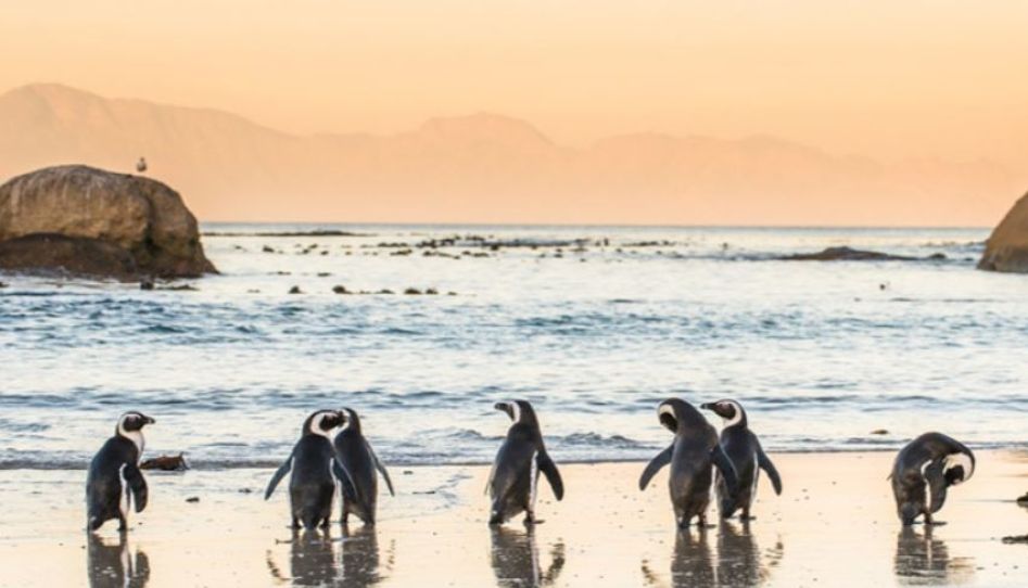 Dolu Dolu Güney Afrika & Botsvana & Victoria Şelaleleri Turu Rotası V2