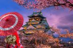 Büyük Japonya Turu 2026 (HND-HND)