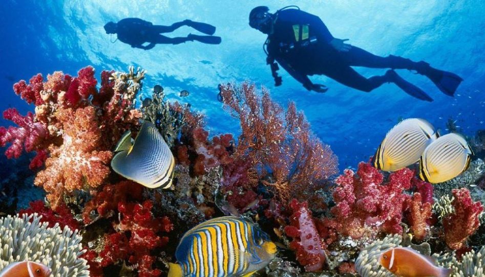 Promosyon Sharm El Sheikh Turu Ajet ile 4 Gece