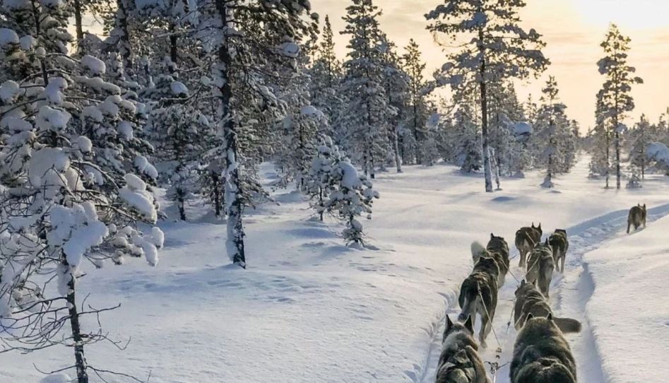 Kuzey Işıkları Lapland Pegasus Hava Yolları Özel Seferi ile 3 Gece RVN - RVN