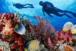 Sharm El Sheikh Turu Sömestir Özel Türk Havayolları ile 5 Gece 6 Gün (30 Ocak-04 Şubat)