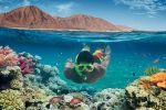 Sharm El Sheikh & Kahire Turu Pegasus ile 4 Gece
